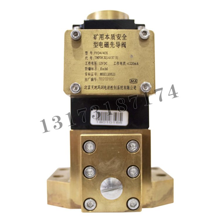 北京天地瑪珂FHD4-40X礦用本質(zhì)**型電磁先導閥-1.jpg